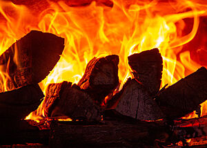 Die angebrannten Holzscheite im lodernden Feuer im Holzbackofen während des Anheizens. 