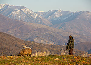 Eine Hirtin steht mit zwei Schafen auf einer Wiese mit einem Bergmassiv im Hintergrund.