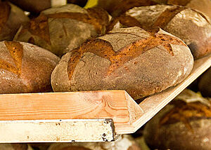 Kräftig ausgebackene Brote mit rustikal aufgerissener Kruste liegen in einem Holzregal.
