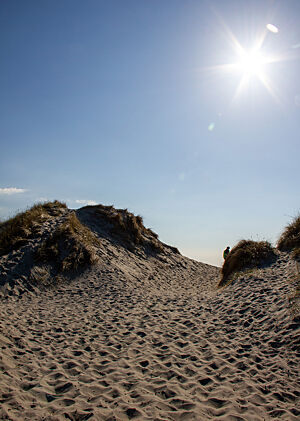 Ein Sandweg durch die Dünen führt zum fast menschenleeren Sandstrand bei Stavanger. 