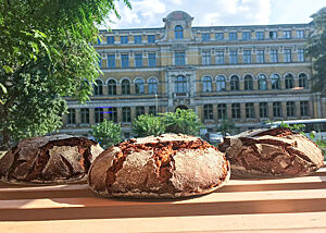 Im Vordergrund die Roggenbrote der Bäckerei Backstein, im Hintergrund die Uni Leipzig.
