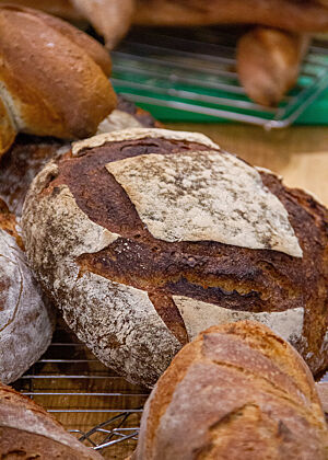 Gutes Brot in Wien – zwei Backkurswochenenden mit Gebäcken aus 200 kg Mehl. Verschiedene fertig gebackene Brote liegen zum Auskühlen auf Gitterrosten.