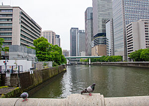 Der Fluss von Osaka umgeben von Hochhäusern.