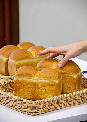 Goldbraune Shokupan-Brote stehen auf einem Tablett.