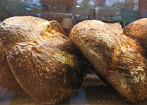 Kräftig ausgebackene Weizenbrote liegen nebeneinander in der Auslage einer Bäckerei.
