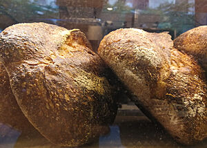 13 Euro für weniger als 1 kg Brot ... Kräftig ausgebackene Weizenbrote liegen nebeneinander in der Auslage einer Bäckerei.