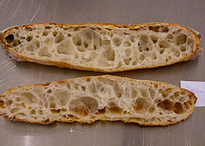Sauerteigbaguette mit wundervoller Porung. Das Sauerteigbaguette im Anschnitt zeigt die grobporige, elastische Krume.