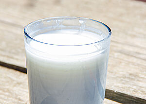 Ein Glas frische Sauermilch steht auf einem rustikalen Holztisch.