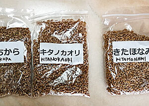 Verschiedene japanische Weizensorten.