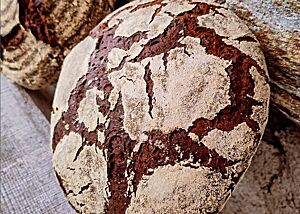 Ein rundes Roggenbrot mit rustikaler Kruste. Ein großes, rundes Roggenbrot mit bemehlter Kruste, frisch aus dem Holzbackofen, lehnt an der rauen Steinmauer der Kalchkendlalm.