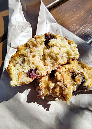 Ein Sauerteig-Scone aus der Bäckerei Nourish. Lecker, aber etwas trocken. Blick in ein von der Sonne beschienenen Scone mit dichter, mürber Krume.