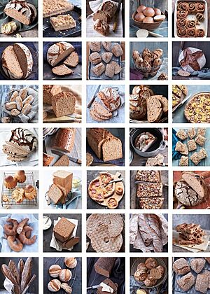 Die Fotocollage zeigt alle Gebäcke der Rezepte aus dem Backbuch „Besser Vollkorn backen“ wie z.B. Kuchen, Pizza, Toast, Brötchen, Schnecken und diverse Brote.