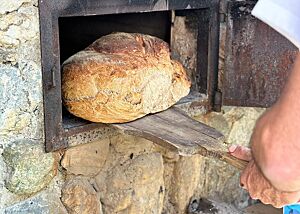 Mit einem Holzschieber wird ein großes St. Galler-Brot aus dem Holzbackofen geholt.