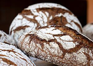 Schwarzwaldbrot aus dem Holzofen Die Kruste der weiß bemehlten, runden Laibe ist rustikal aufgerissen.