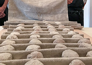Rotkornbrötchen auf Gare. Im Bäckerleinen liegen durch Falten von einander getrennt Brötchenteiglinge auf Gare.
