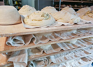 Die Kräuterciabatta-Teiglinge reifen in einem Regal auf Leinentüchern.
