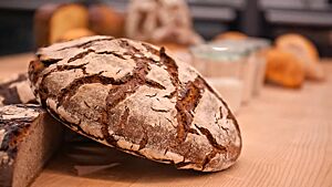 Ein kräftig ausgebackenes Roggenbrot lehnt schräg auf einem halbierten Brotlaib. Im Hintergrund sind drei Gläser mit Anstellgut sichtbar.