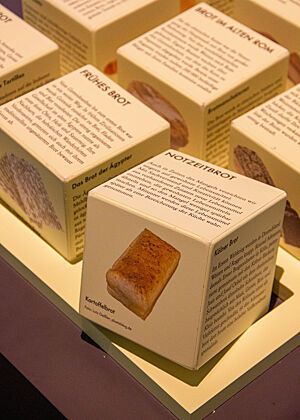 Mein kleiner Beitrag zur Sonderausstellung im Deutschen Museum in München. Auf einem kartonierten Würfel mit der Aufschrift „Notzeitbrot“ ist ein Foto von Lutz Geißlers Kartoffelbrot zu sehen. Neben ihm stehen weitere Würfel mit anderen Brotarten und -erklärungen.