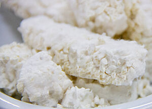 Koji-Reis nach der Ernte Kompakte Streifen aus Reis, der mit einem weißen Flaum aus Koji-Pilzen überwachsen ist.