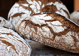 Schwarzwaldbrot aus dem Holzofen Die Kruste der weiß bemehlten, runden Laibe ist rustikal aufgerissen.