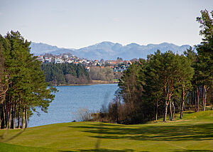 Berge und Wasser bei Stavanger. Blick durch eine Baumschneise runter aufs Wasser.