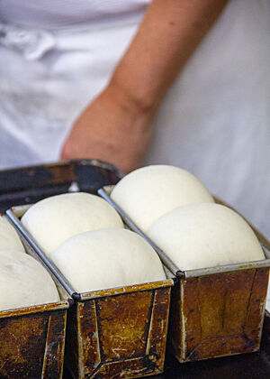 Vor dem Backen Drei Kastenformen mit je zwei SHokupan-Teiglingen, die sich straff aufwölben.