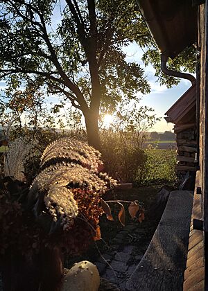 Untergehende Sonne am Backhaus Blick entlang des Backhauses durch angrenzende Bäume auf die untergehende Sonne.