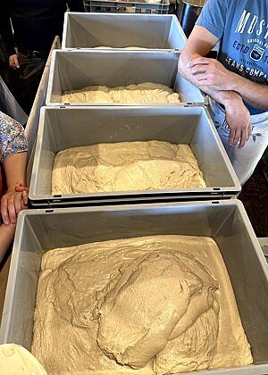 Vier große Teigwannen sind zur Hälfte mit Teig für das Sylter Weißbrot gefüllt.