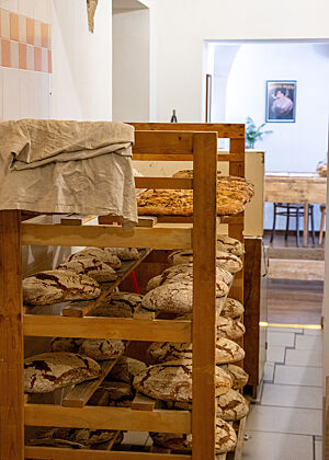 Weizensauerteigbrote. Auf einem Holzregal lagern auf mehreren Ebenen Weizensauerteigbrote mit weiß bemehlter, rustikal aufgerissener Kruste.