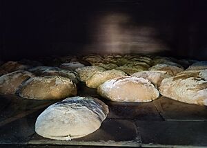 Bereits guter Volumenzuwachs nach dem Dampfablassen Im Zuge des Dampfablassens konnten wir noch einen Blick auf die bereits deutlich vergrößerten Brotlaibe im Ofen werfen.