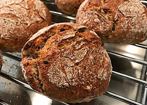 Rotkornbrötchen. Kräftig ausgebackene Rotkornbrötchen mit rustikalem Ausbund und leicht bemehlter Kruste.