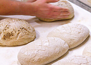 Gerster- und Mischbrote vor dem Backen. Fertig gereifte Misch- und Gersterbrote mit geflämmter Teigoberfläche werden auf den Einschießer gelegt.