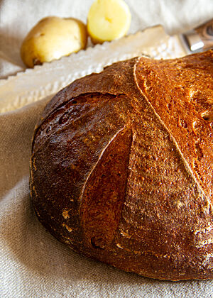Dinkelkartoffelbrot. Ein runder, dunkelbraun glänzender Laib mit dekorativen Einschnitten liegt auf einem Leinentuch.
