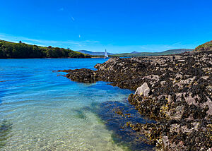 Azurblaues Atlantikwasser in einer kleinen Bucht mit Blick auf Dingle. Ein Segelboot fährt aus der Bucht von Dingle hinaus.