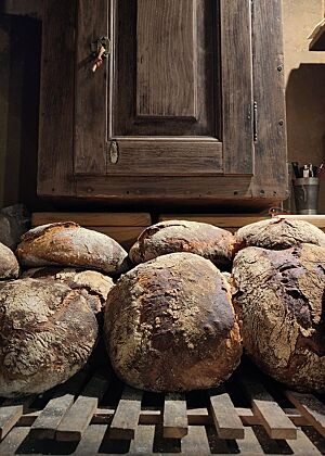 Rustikale Brote, rustikaler Schrank Vor einem rustikalen Wandschrank liegen die rustikal aufgerissenen Sylter Laibe.