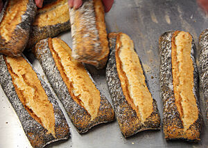 Die eckigen, länglichen Weizenbrötchen mit Mohn auf der Kruste sind goldbraun ausgebacken.