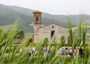 Versuchsfeld Grüne Getreideähren, dahinter die Brotfestteilnehmer im Feld vor einem Natursteingebäude mit Glockenturm.