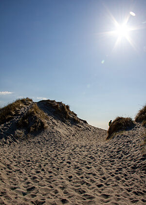 Fast menschenleere Sandstrände an der Küste bei Stavanger. Ein Sandweg durch die Dünen führt zum fast menschenleeren Sandstrand bei Stavanger.