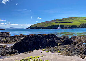 Am Strand an der Bucht von Dingle. Ein Segelboot fährt aus der Bucht von Dingle in den offenen Atlantik.