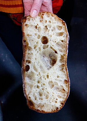 Nur mit Hefewasser gelockert Eine Hand hält eine Ciabatta-Hälfte, in der die grobporige, helle Krume zu sehen ist.
