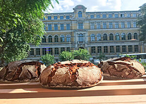 Im Vordergrund die Roggenbrote der Bäckerei Backstein, im Hintergrund die Uni Leipzig.