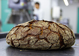 Reines Roggensauerteigbrot aus unserem Kurs. Ein kräftig ausgebackenes, rustikal aufgebrochenes Roggensauerteigbrot hat Risse auf der Oberfläche.