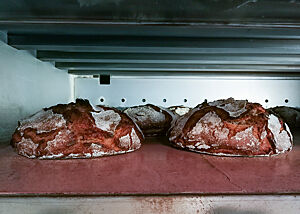 Rustikal aufgerissene Roggenbrote werden im Ofen kräftig ausgebacken.