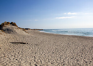 Menschenleerer Strand bei strahlendem Sonnenschein.