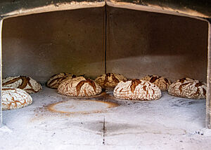 Schwarzwaldbrot in Mittelitalien aus dem Holzofen. Durch die offene Ofentüre sieht man mehrere knusprig gebackene Laibe mit rustikaler Kruste auf dem grauen Steinboden liegen.