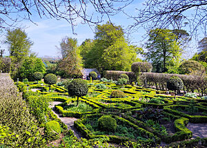 Der Kräutergarten der Ballymaloe-Kochschule. Viele verschiedene Kräuter sind umgeben von kleinen Hecken, die einzelne Parzellen im Garten abgrenzen.