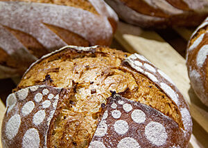 Brot mit Saaten in der Krume. Das kräftig ausgebackene, rustikal aufgerissene Saatenbrot ist auf der Oberfläche mit einem gepunkteten Muster aus Mehl verziert.