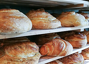 Die fertig gebackenen Kräuterciabatta liegen zum Auskühlen in einem Regal in der Backstube.
