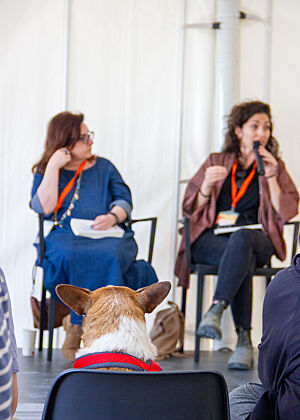 – ohne Worte – Ein Hund sitzt auf einem Stuhl im Festzelt und lauscht der Diskussion.