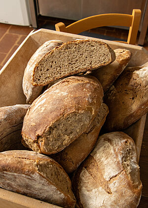 In einer Teigwanne aus Holz liegen mehrere runde Laibe, die angeschoben gebacken wurden. Ein aufgeschnittener Laib zeigt die hellbraune, gleichmäßige Krume des Sauerteigbrotes.